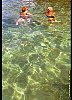 12020100004.jpg
