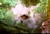12020100012.jpg