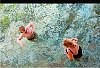 12020100024c.jpg