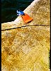 18020100027.jpg