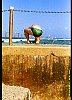 22020100026.jpg