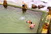 28020100017.jpg