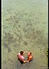 28020100020.jpg