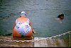28020100026.jpg